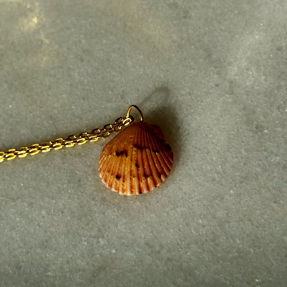 Natural Seashell Pendant Necklace